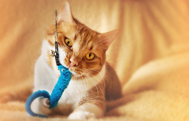 감각(S) vs 직관(N) – 변화에 대한 반응력