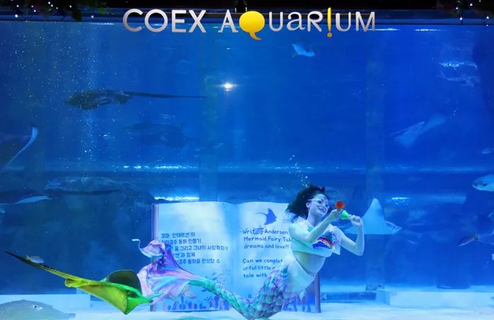 서울여행 갈만한곳 인기순위 4. 코엑스아쿠아리움