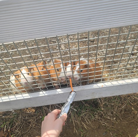 가평 베고니아 새정원 - 아이와 가볼만한 곳 추천, 후기