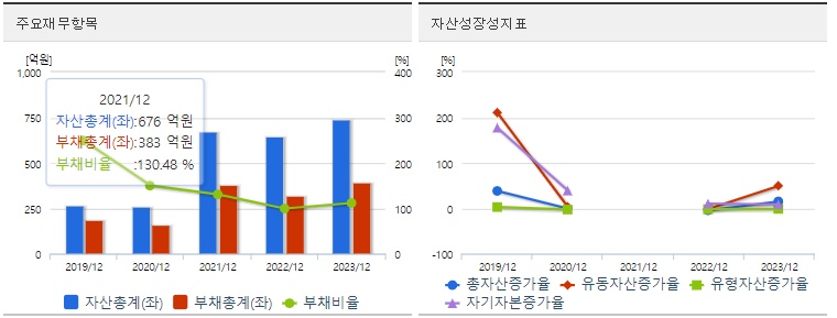뷰티스킨 재무지표
