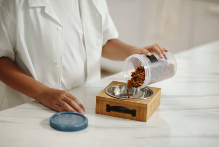 pet feeder airtight storage