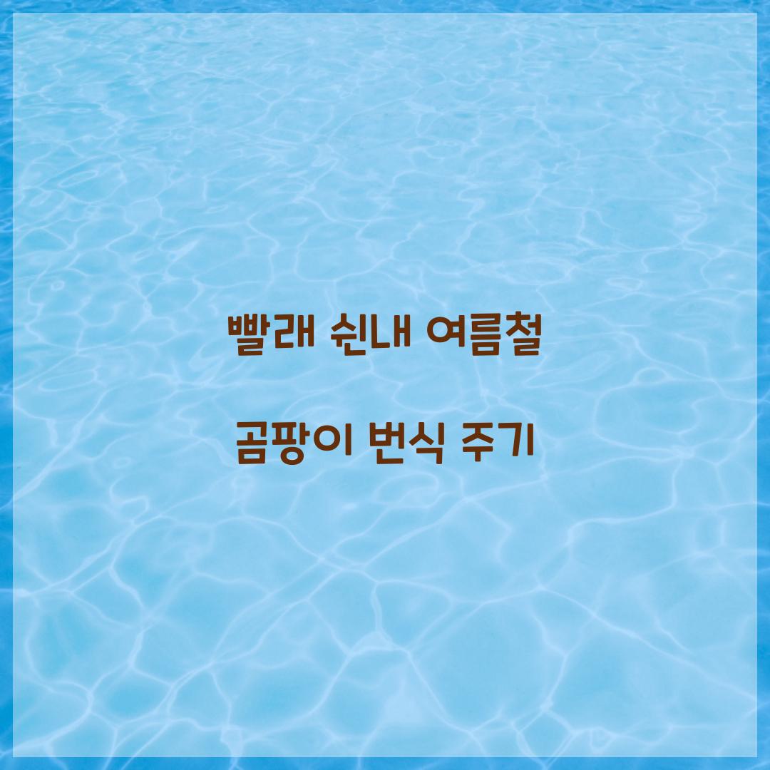 빨래 쉰내 여름철 곰팡이 번식 주기