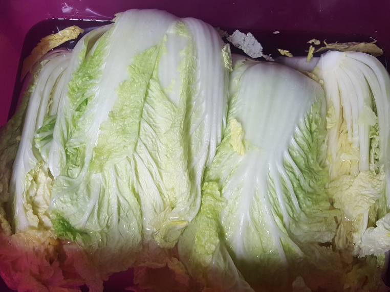백김치 담그는 방법 04