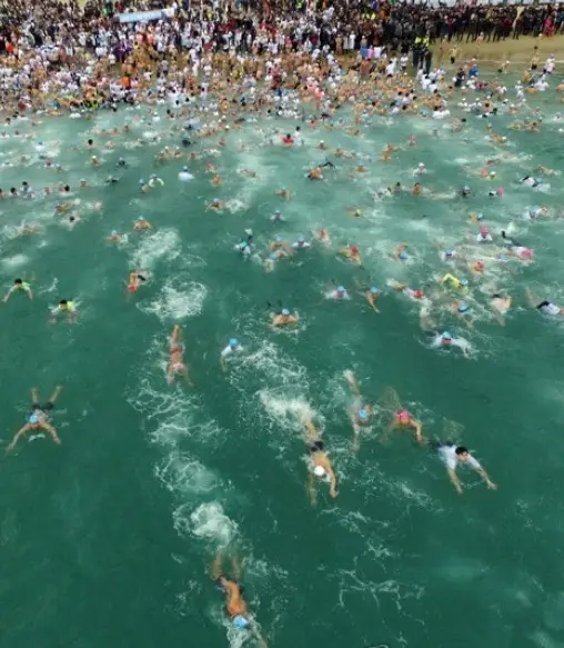 해운대 북극곰 수영대회 일정&middot;참가신청