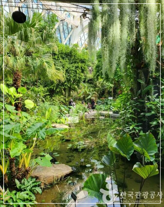 서울 가볼만한곳 베스트10 서울식물원