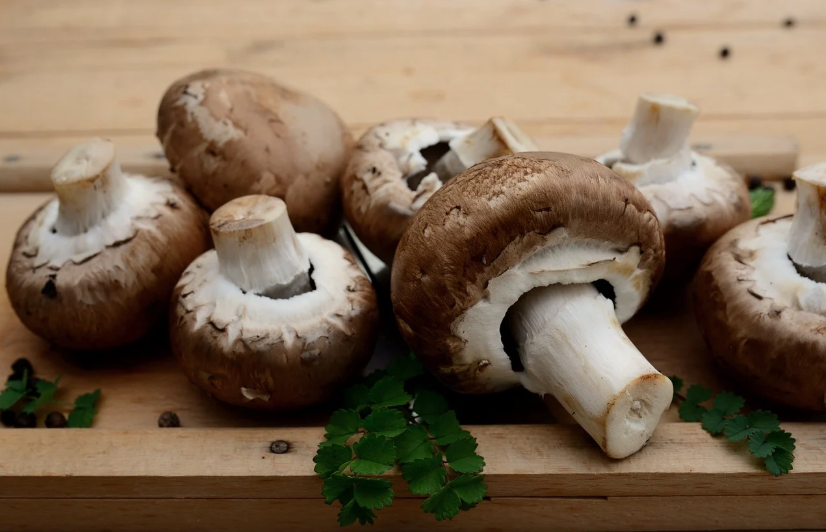 2025년 가장 건강한 먹거리! 해조류, 발효식품, 버섯, 식물성 단백질을 주목하세요