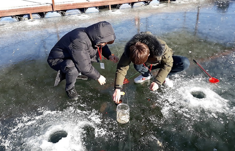 강화 양오낚시터 빙어축제
