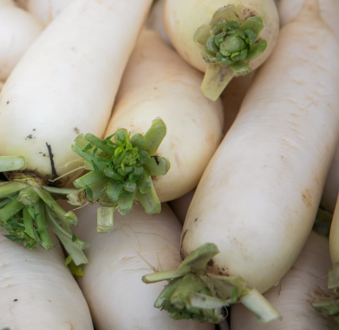 무 효능과 부작용