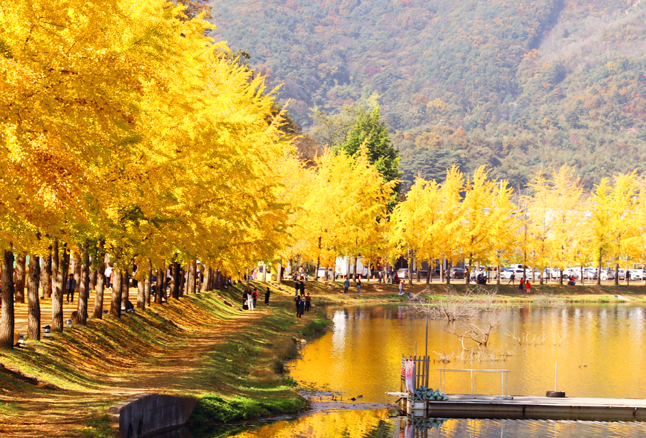 괴산 문광저수지