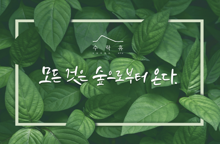 서울 자연휴양림 수락 휴