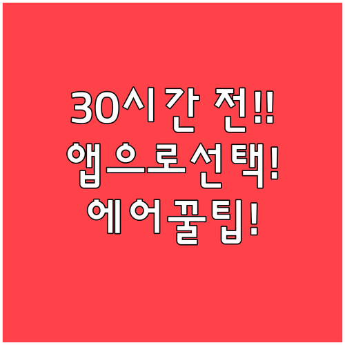 에어프랑스 체크인 30시간 전부터 가..