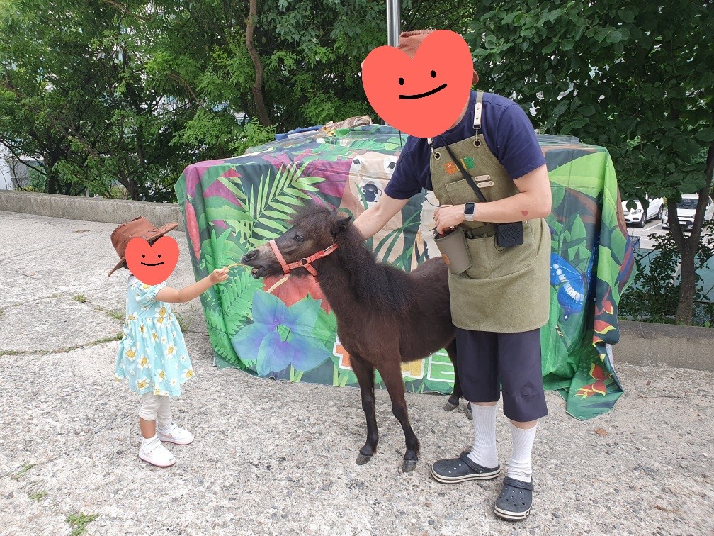 동물 체험을 하는 아이