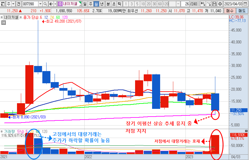 4월 24일 네이처셀 주가 월봉 차트 분석