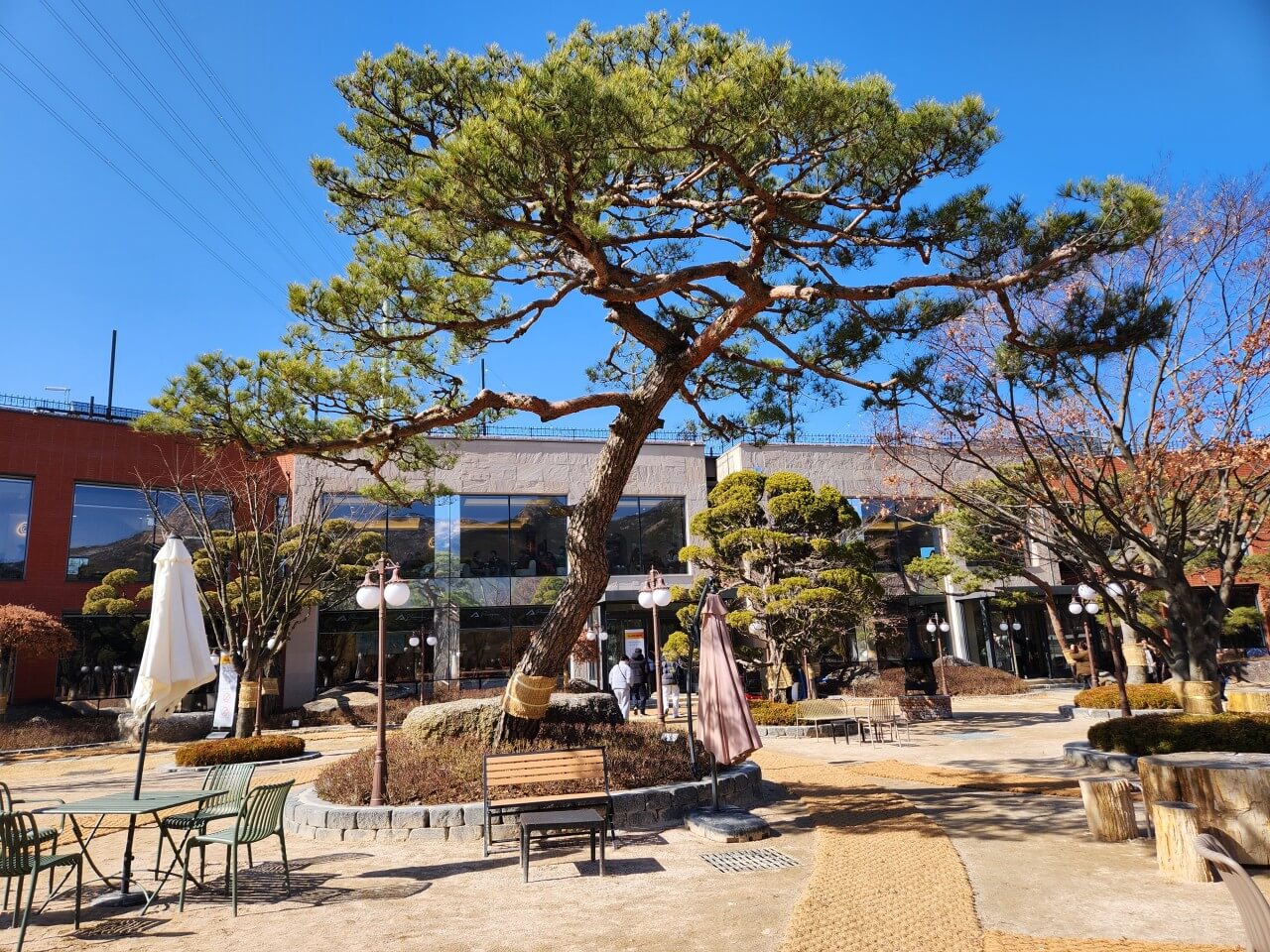 파노라마 베이커리 카페