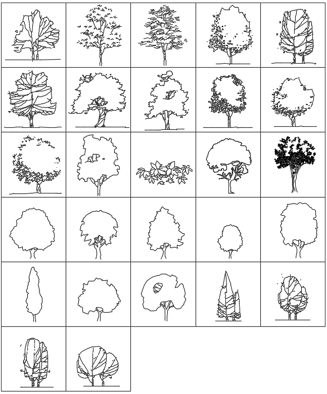 나무, 수목, 조경 입면.DWG 파일 다운로드-2