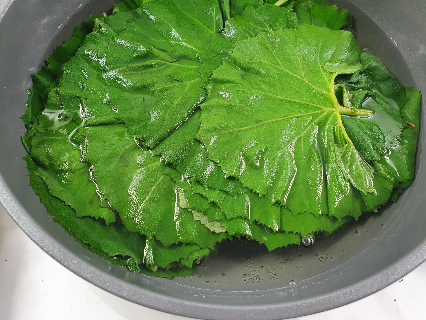 머위나물 장아찌 담는법