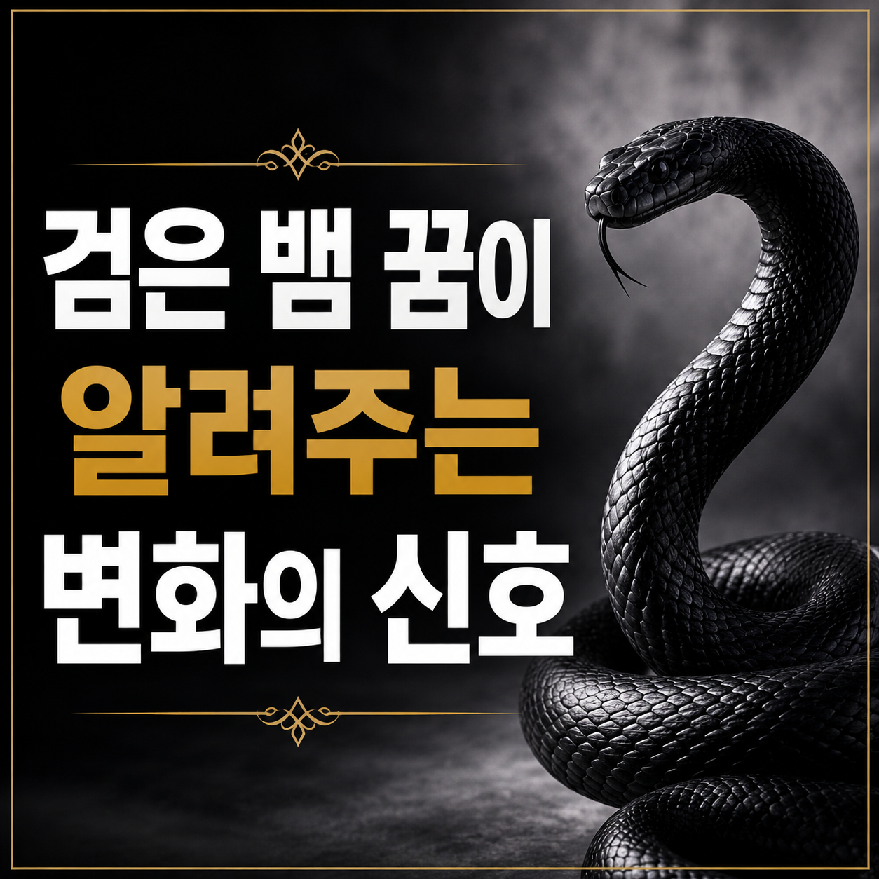 검은 뱀 꿈