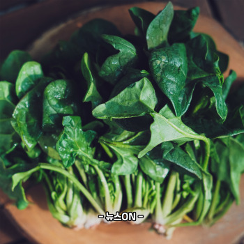 엽산이 많은 음식