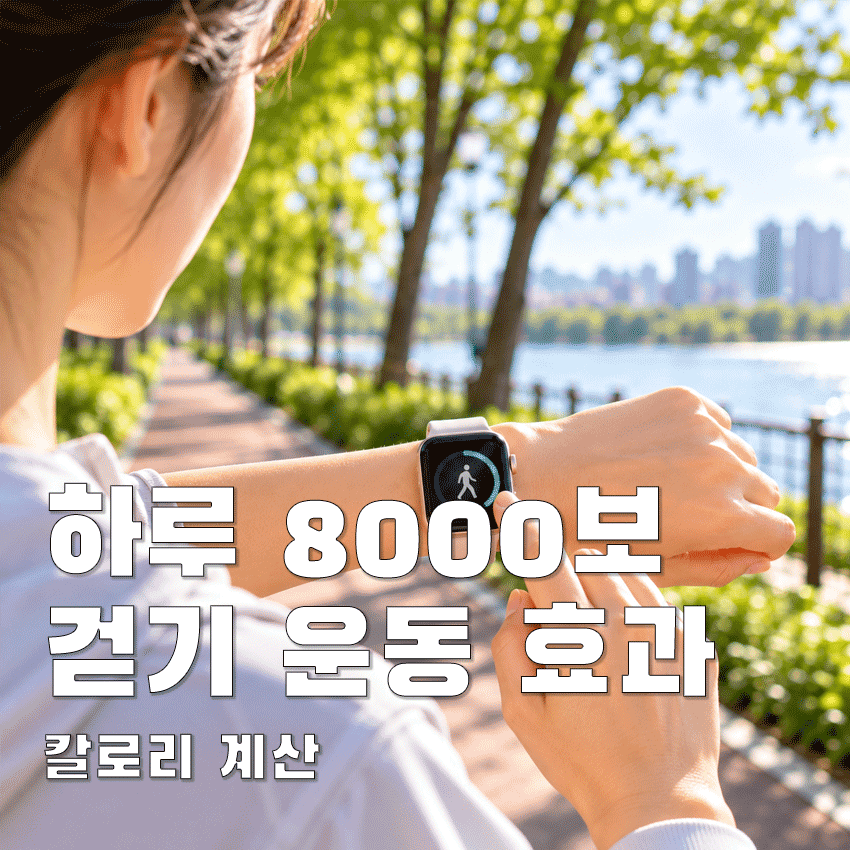하루 8000보 걷기 운동효과와 칼로리 계산