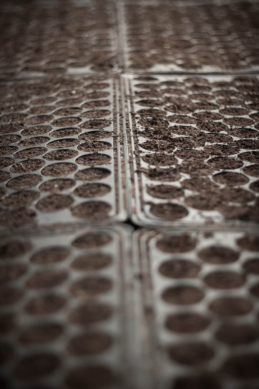 도시 농업에서의 친환경 기술 적용 사례