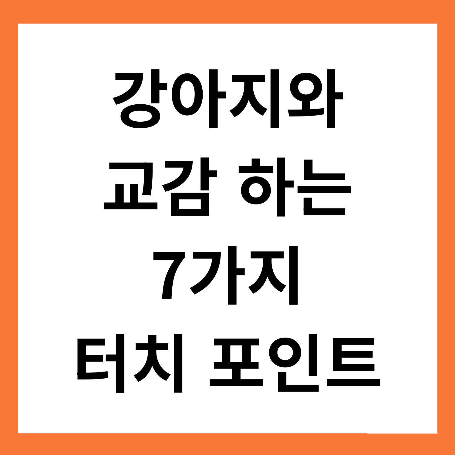 강아지와 교감하는 7가지 터치 포인트