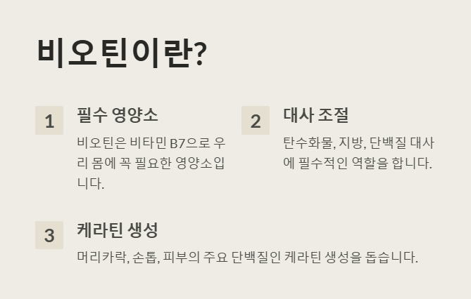 비오틴의 기본정보