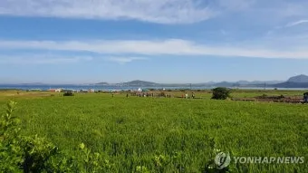 제주 가파도 가는 운진항 배 시간표 요금 예약 예매_24
