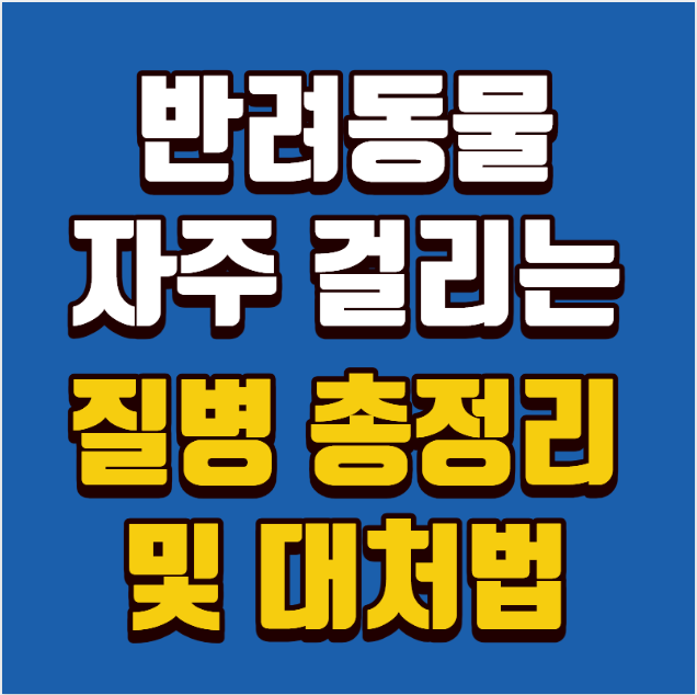 반려동물 자주 걸리는 질병 총정리와 대처법(피부·소화·심장 질환 완벽 가이드)