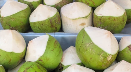 윗 부분을 손질한 코코넛