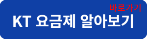 KT요금제