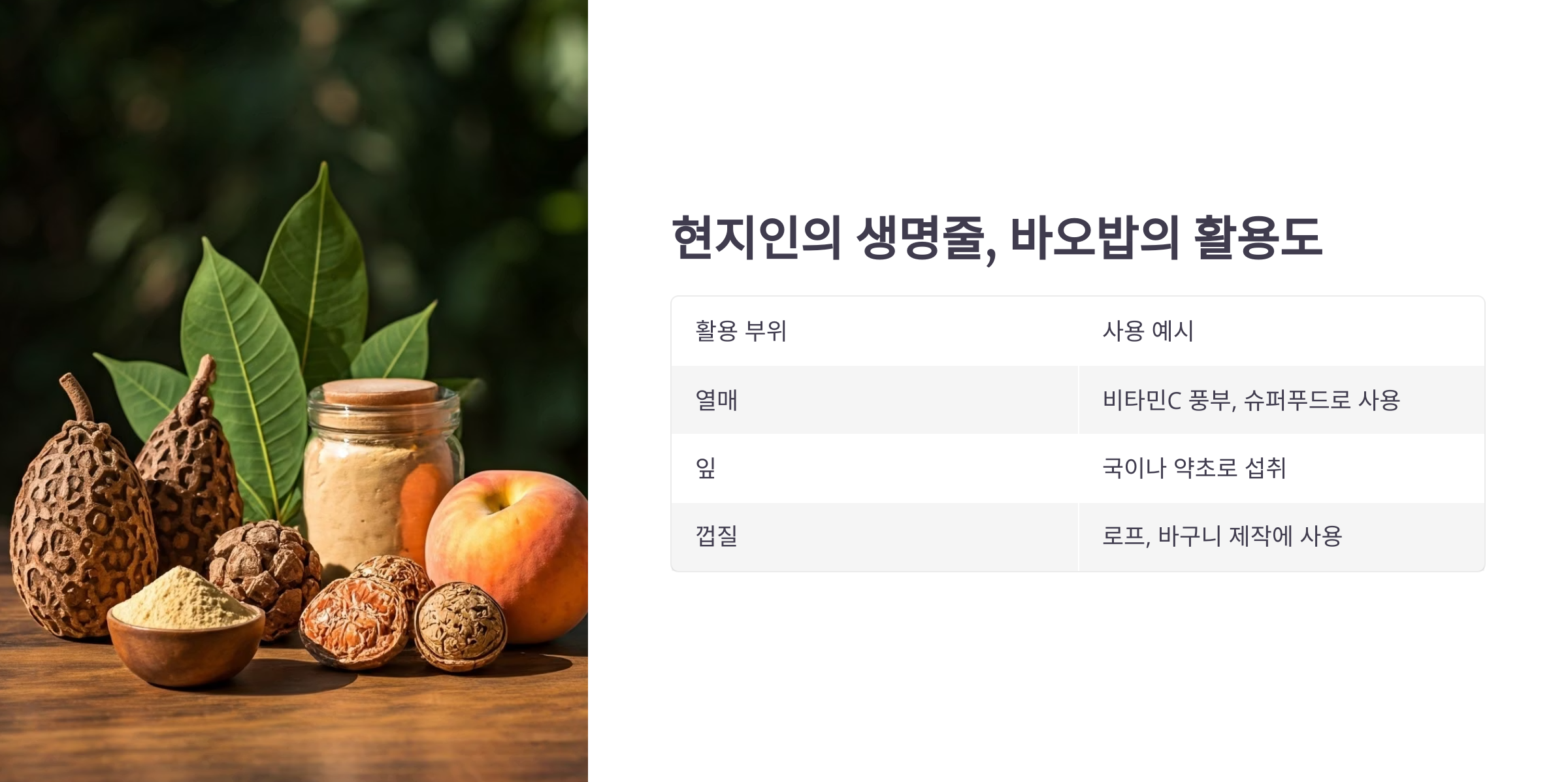 바오밥나무