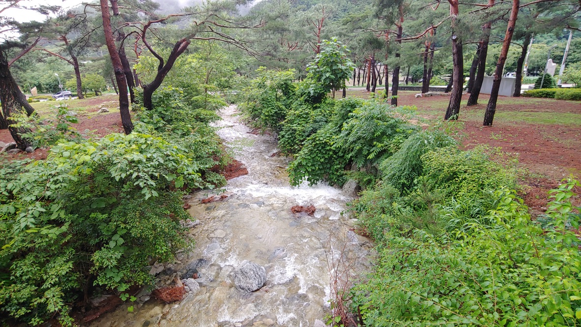 비온 후 불어난 냇물