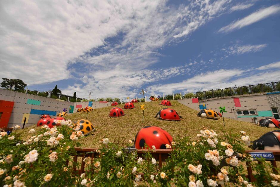 2025 곡성세계장미축제 일정, 입장권, 주차 정보, 곡성몰 최대 50% 할인 혜택까지!