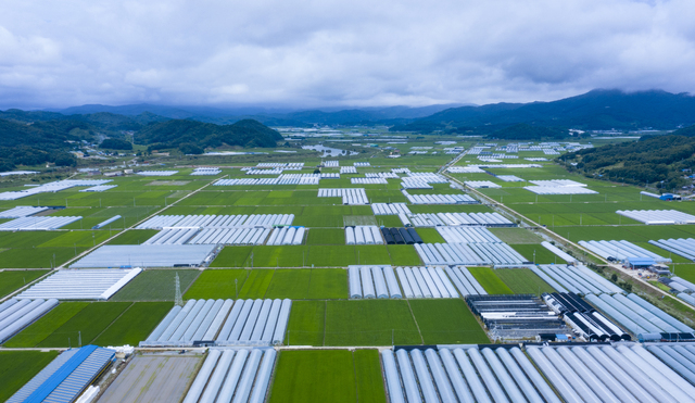 귀농 부동산 투자 사진