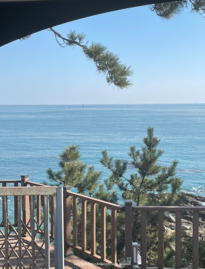 부산 해운대 블루라인파크 해변열차