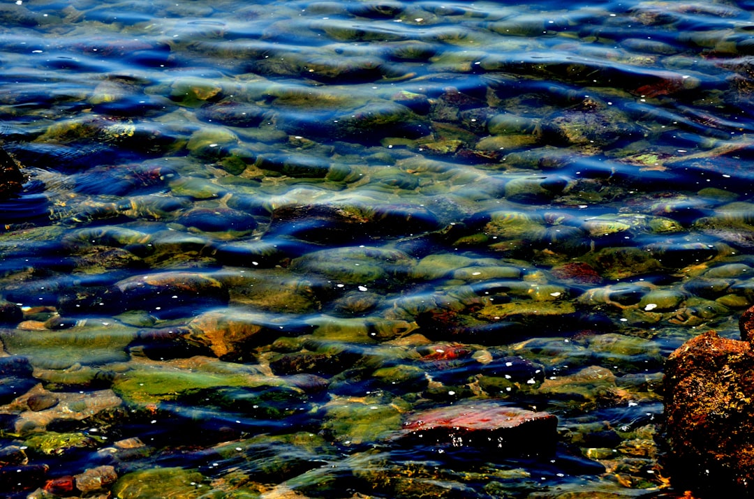 Water Quality