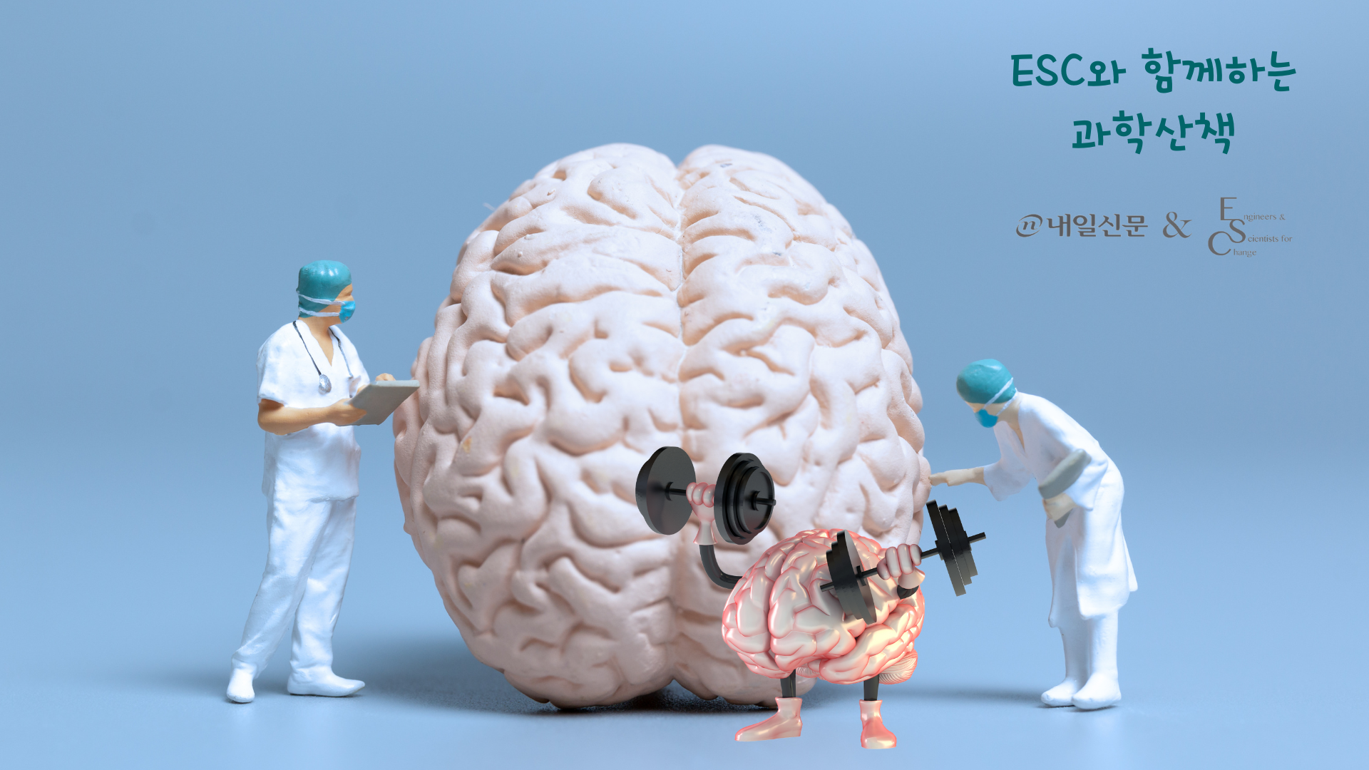 규칙적인 운동이 치매를 예방하는 원리