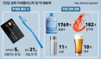 뇌를 잠식하는 미세 플라스틱 보이지 않는 위협_24