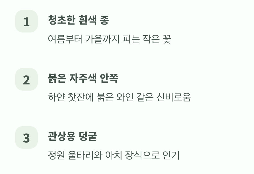 반전 매력, 꽃의 아름다움