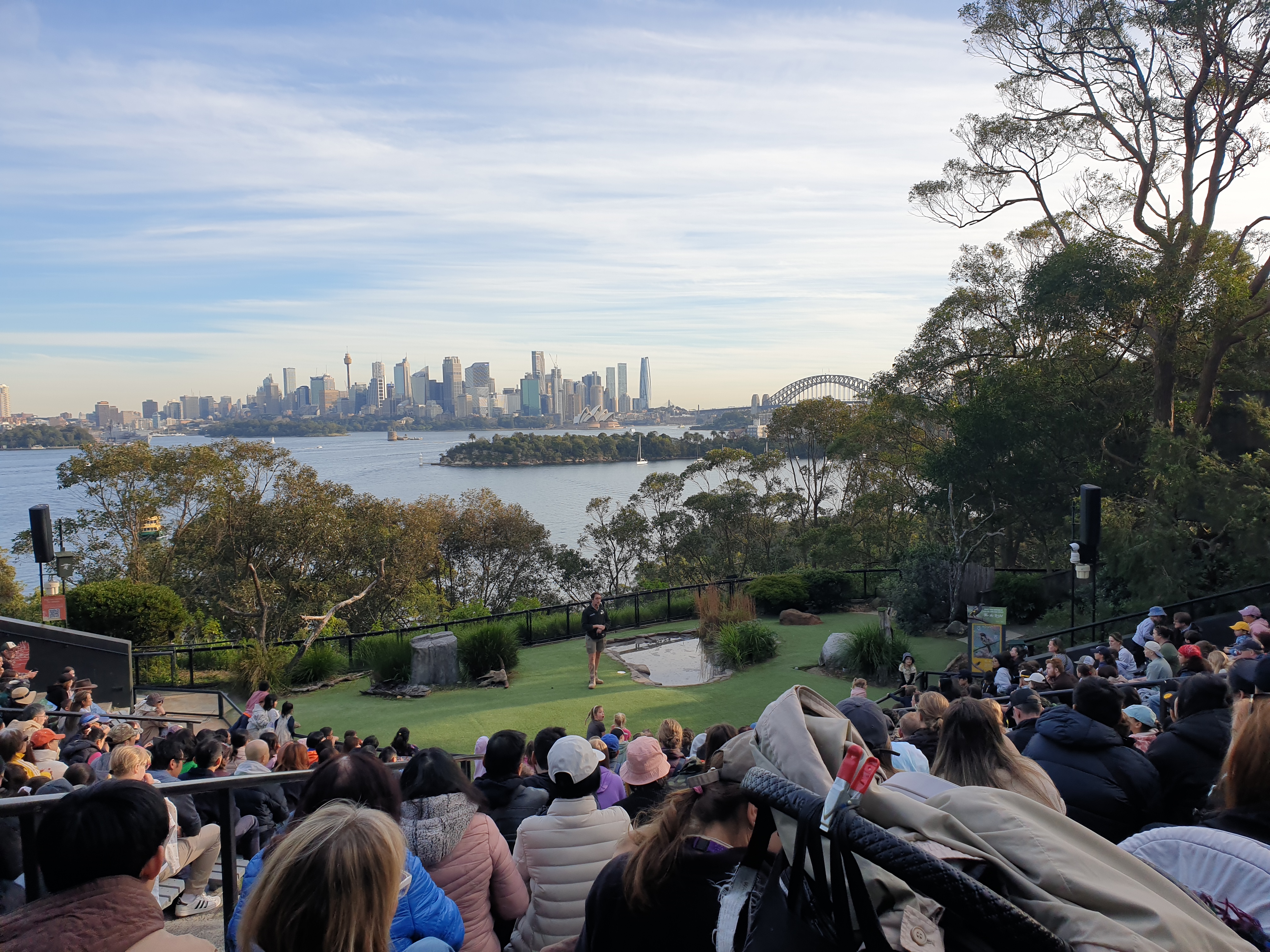 시드니 타롱가 주(Taronga Zoo) 데이트_버드쇼_전망
