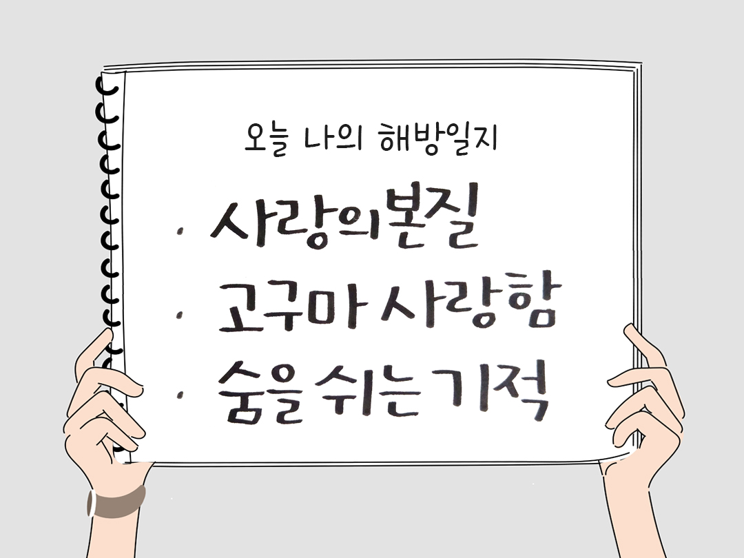 오늘 나의 해방일지 : 감사를 통해 발견한 행복 오늘 감사한 순간들