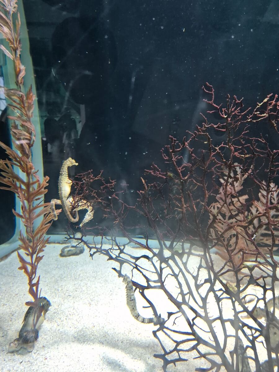 부산 아이랑 가볼만 한 곳