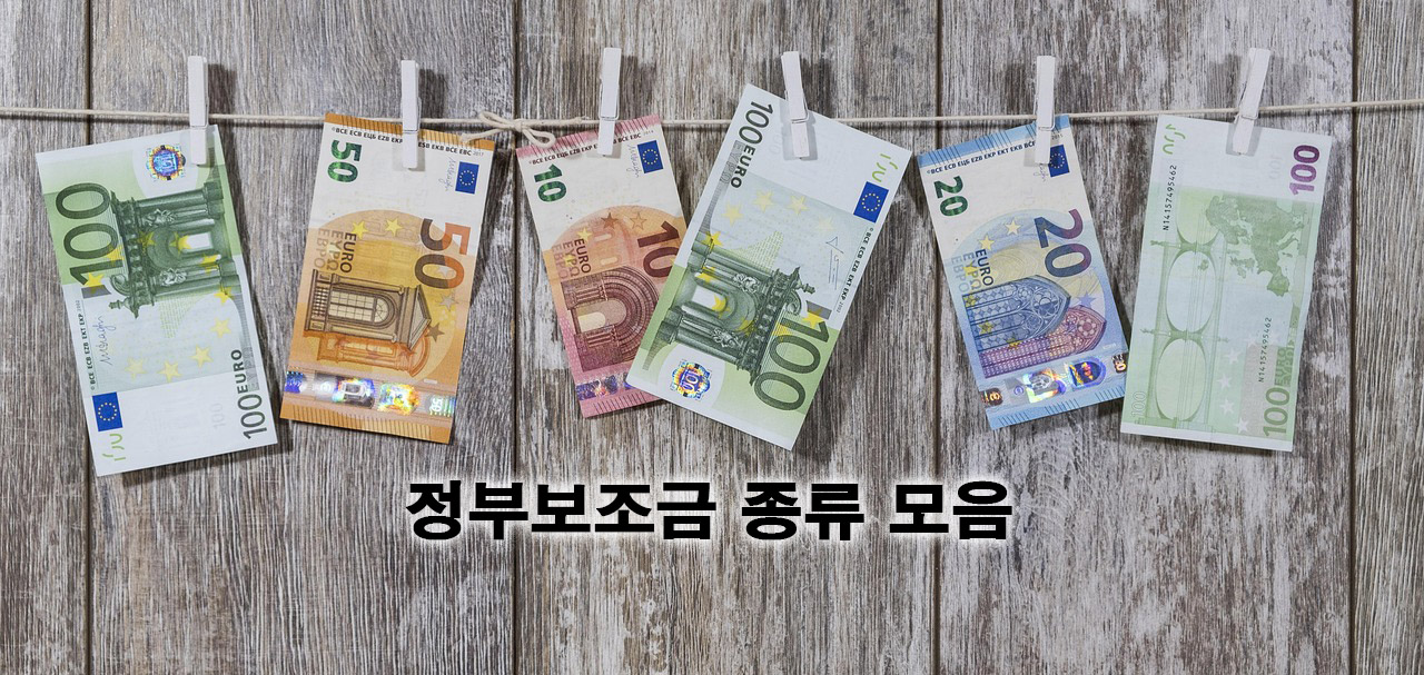 정부보조금 종류 모음