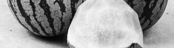 수박껍질 음식물쓰레기: 구분