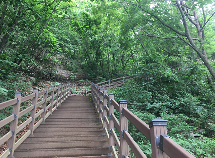 황금산5