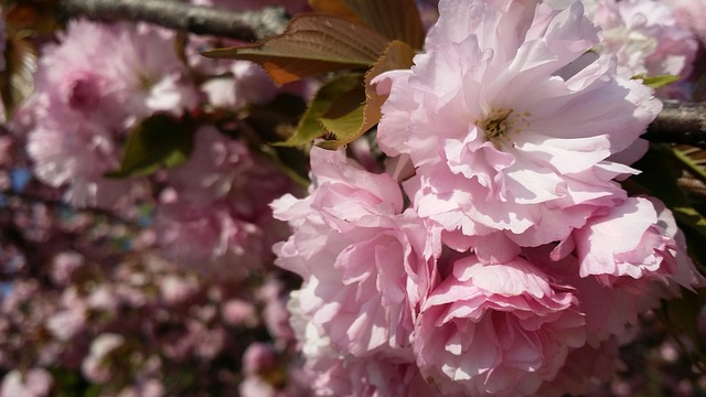 일본 여행지 추천 도쿄 오사카 교토