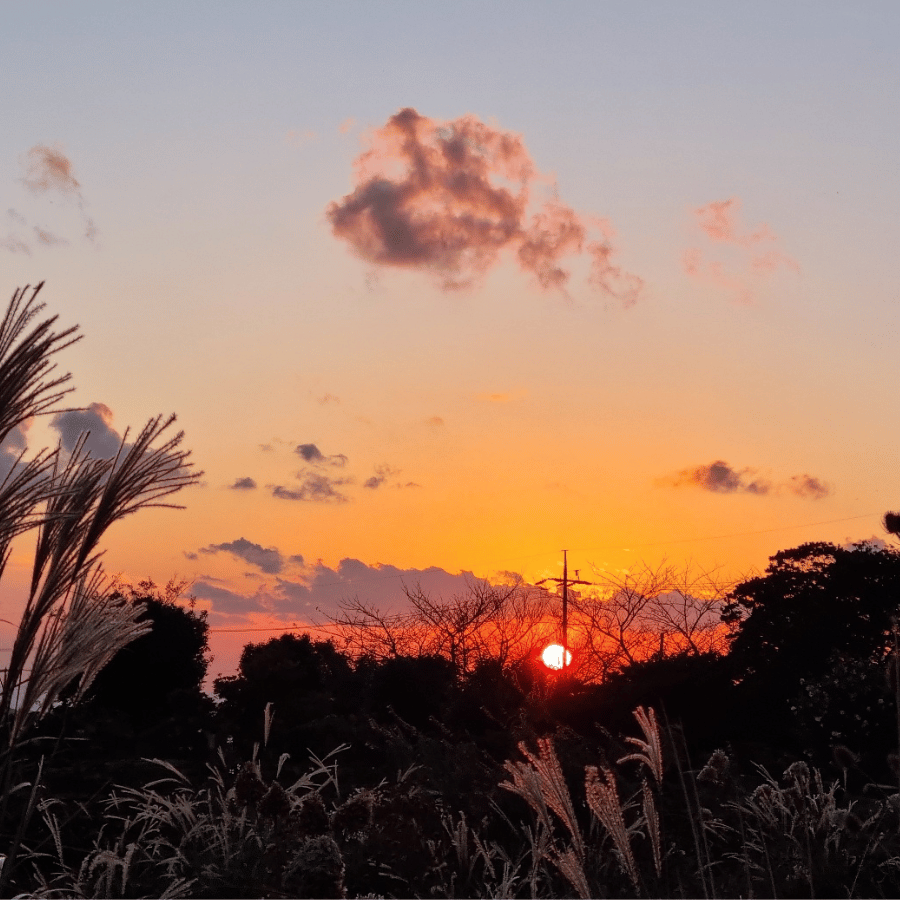 바람 따라, 마음 따라 친구들과 떠나는 감성 드라이브