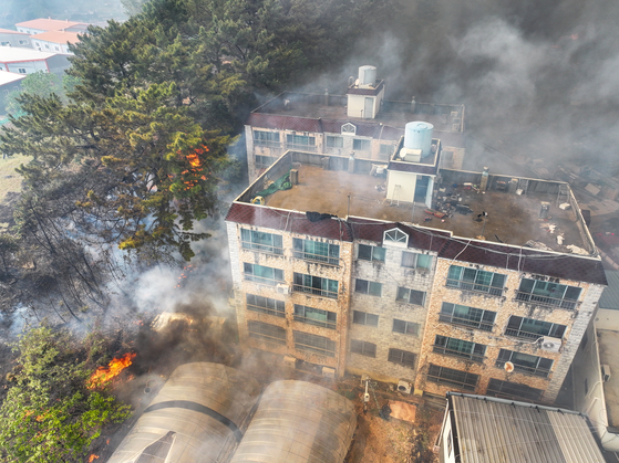 대구 함지산 산불 현황 대응 조치 및 피해 상황