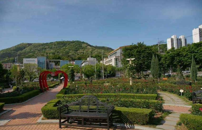 이곡장미공원
