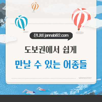 도보권 낚시에서 자주 만날 수 있는 어종